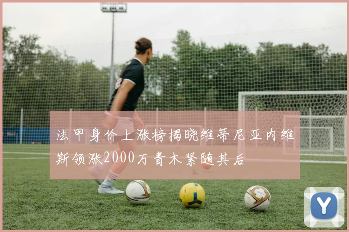 法甲身价上涨榜揭晓维蒂尼亚内维斯领涨2000万青木紧随其后