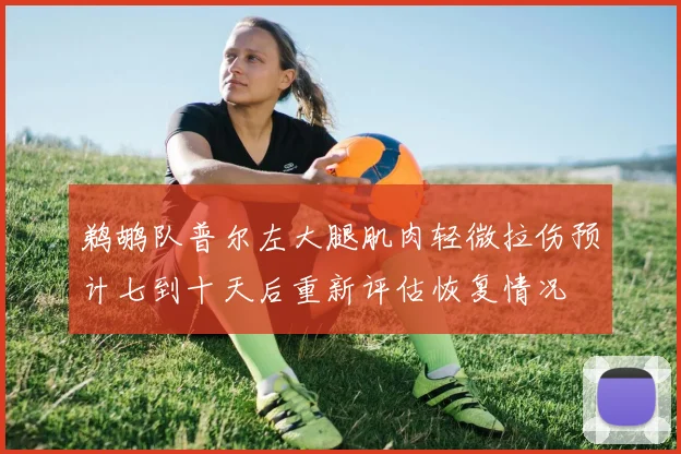 鹈鹕队普尔左大腿肌肉轻微拉伤预计七到十天后重新评估恢复情况